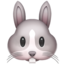 :rabbit: 🐰