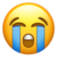:sob: π
