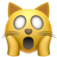 :scream_cat: π