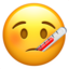 :face_with_thermometer: 🤒