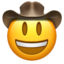:face_with_cowboy_hat: π€