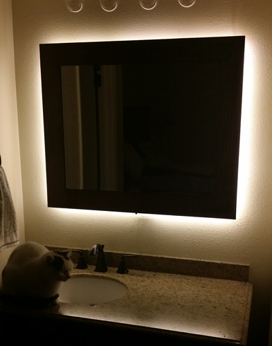 Backlit Dimmable Led Mirror With Motion, How To Build A Backlit Mirror